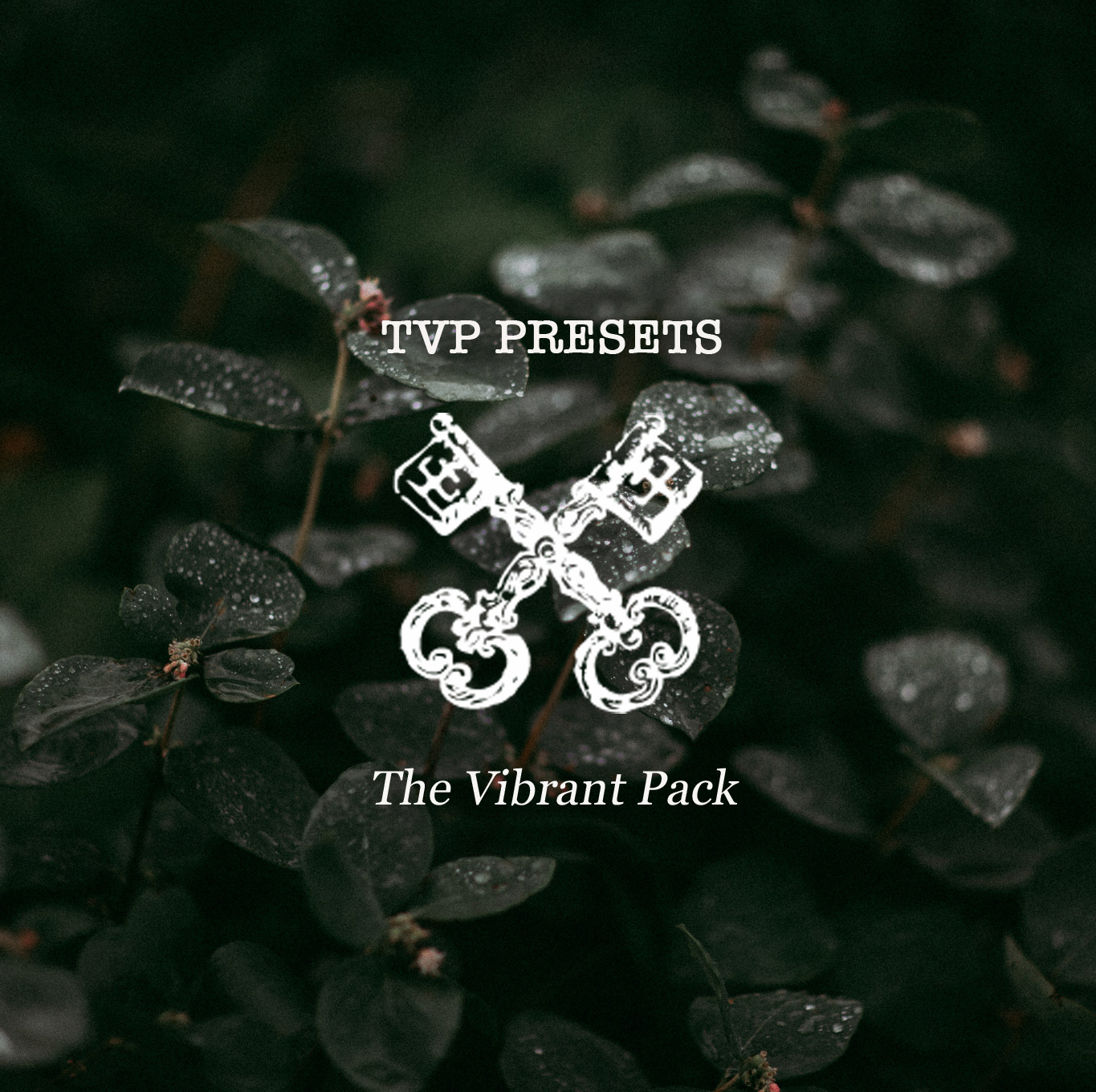 Tricia Victoria – The Vibrant Pack