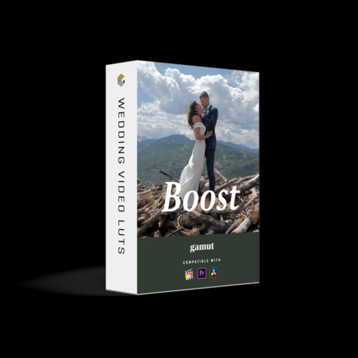 Gamut – Boost LUTs